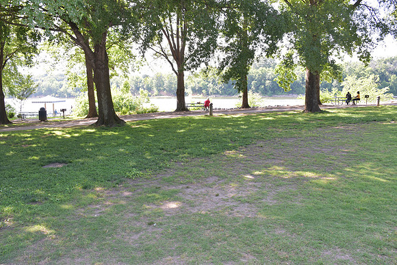 161-D55_0779