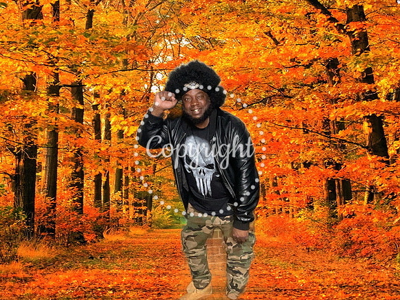 XIVR0537
