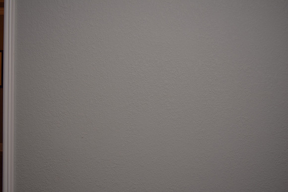 DSC_0531