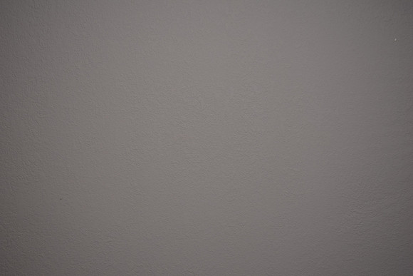DSC_0532